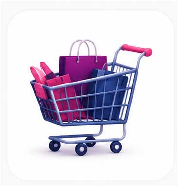 E-Commerce Website Design in Rohini