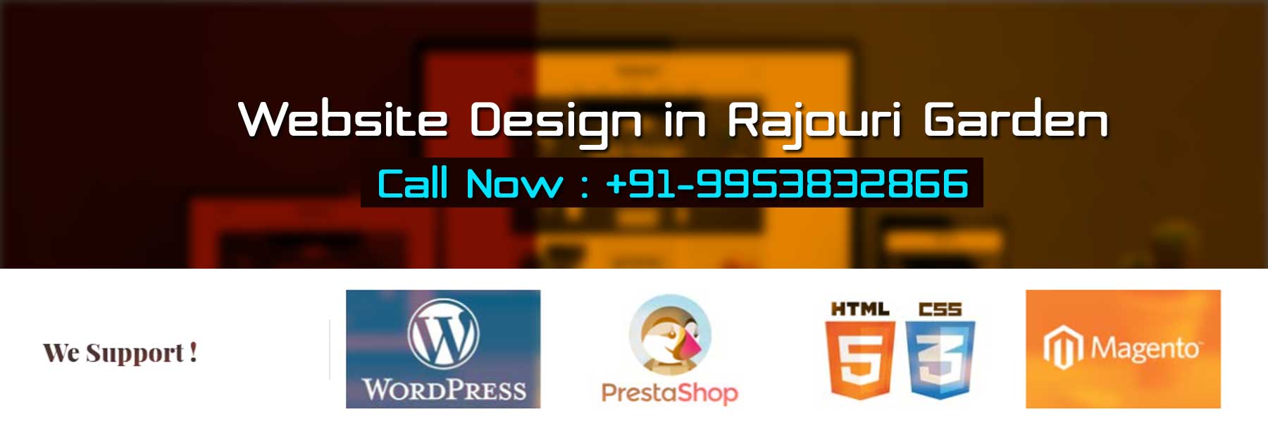 Website Design in Rajouri Garden