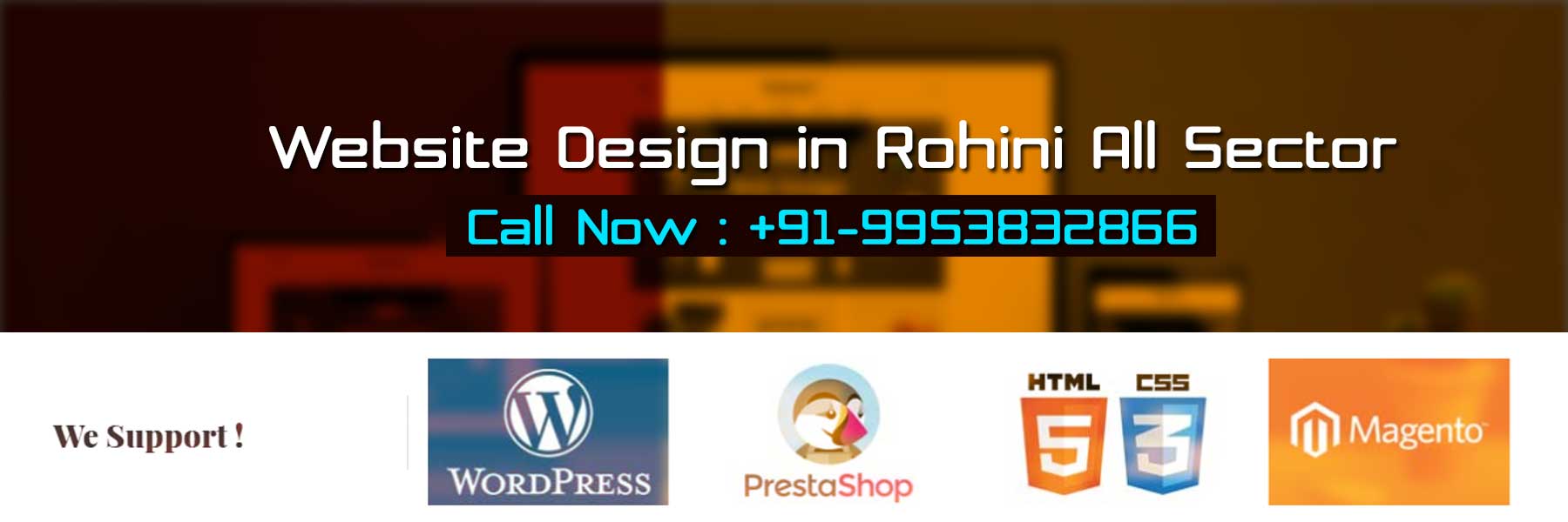 Website Design in Rohini All Sector