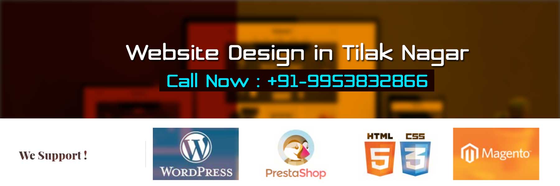 Website Design in Tilak Nagar